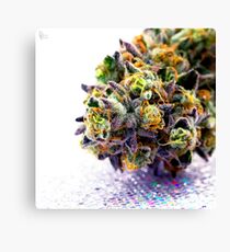 Untitled Canvas Print