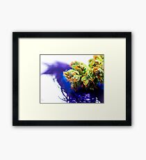 Untitled Framed Print