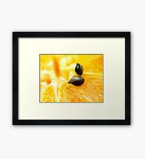 Untitled Framed Print