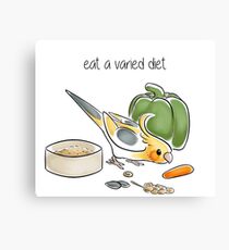 Eat a Varied Diet Canvas Print