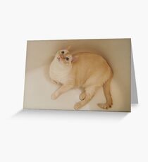 Rub-a-dub-dub, Monte's in the Tub Greeting Card