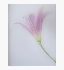 dreamy Photographic Print