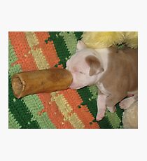 Delicious Dreams Photographic Print