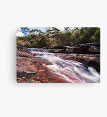 McCarrs Creek Canvas Print