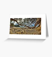 Waimama Bay Twisted Pohutukawas Greeting Card