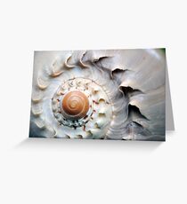 Snaggle-Toothed Shell Greeting Card