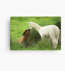 Wanna play Canvas Print