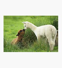 Wanna play Fotodruck