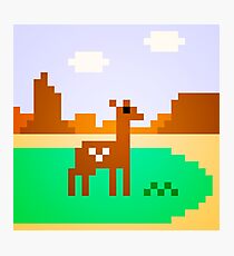 Deer in Meadow Photographic Print