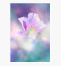 Fleur IV Photographic Print