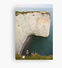 Jurassic coast Canvas Print