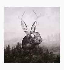 the escape Photographic Print