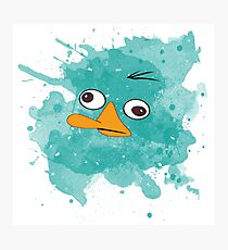 Platypus Photographic Print