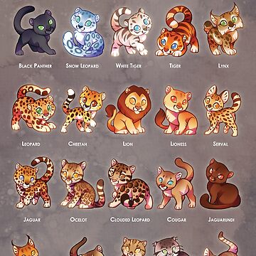 Thunder Clan Art Print Warrior Cats Cat Drawing Print on Premium Matte  Paper Graystripe Fireheart Ravenpaw Bluestar Tigerclaw Sandstorm 