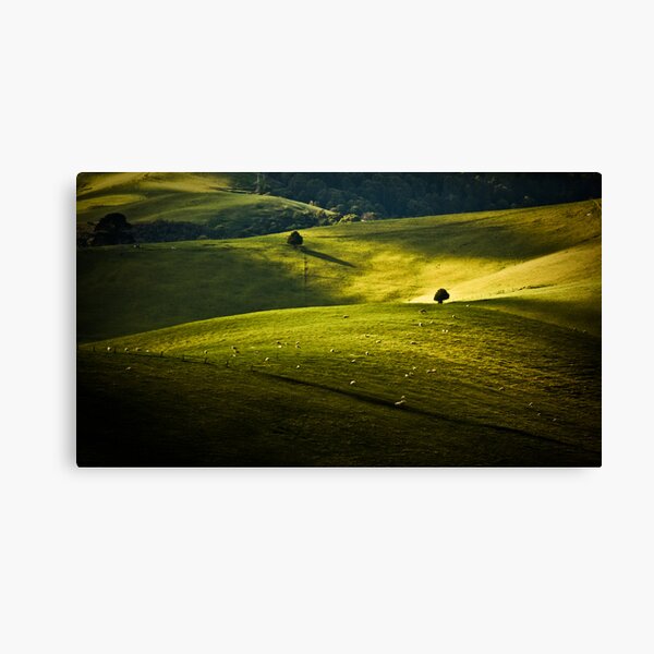 Greens and Golds Canvas Print