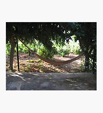 Hammock Photographic Print