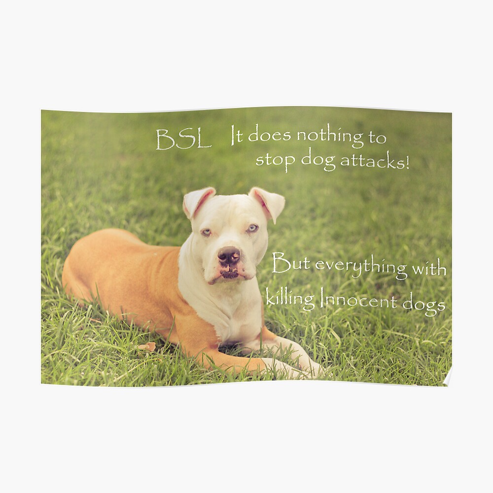 a-definition-of-breed-specific-legislation-poster-by-zdogs-redbubble