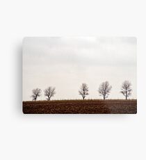Five trees Metal Print