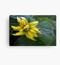 Promise of Good Things to Come Metal Print