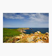 Great Saltee Island, County Wexford, Ireland Photographic Print