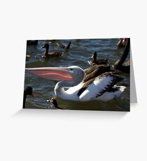 PELICAN 1 Greeting Card