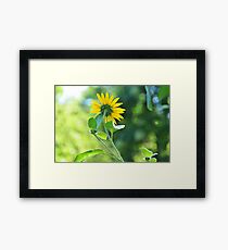 Pac man Bokeh Framed Print