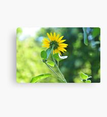 Pac man Bokeh Canvas Print