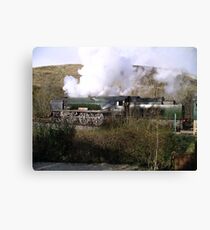 Eddystone Canvas Print