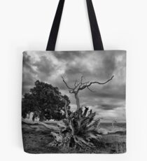 Decaying Tote Bag