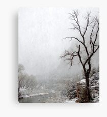 Zion Snowstorm Canvas Print