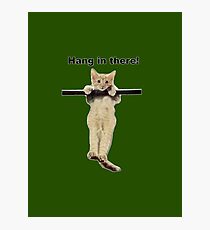 hang in there baby cute kitty cat kitten on branch Photographic Print
