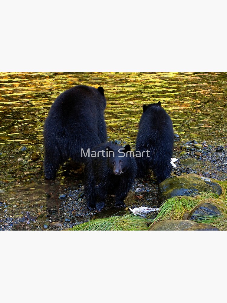 "Hey mom, someone's taking our photograph!" by MartinSmart