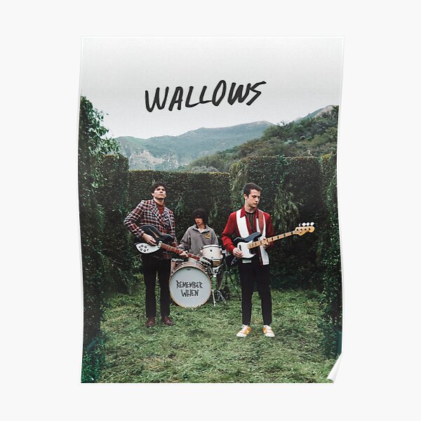Wallows Posters | Redbubble