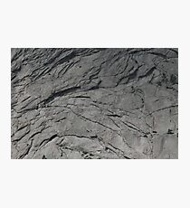 Gray Scale Photographic Print