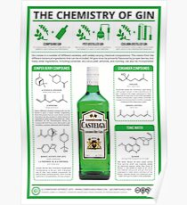 The Chemistry of Gin Poster