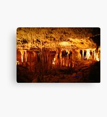 Australia - Naracoorte caves Canvas Print