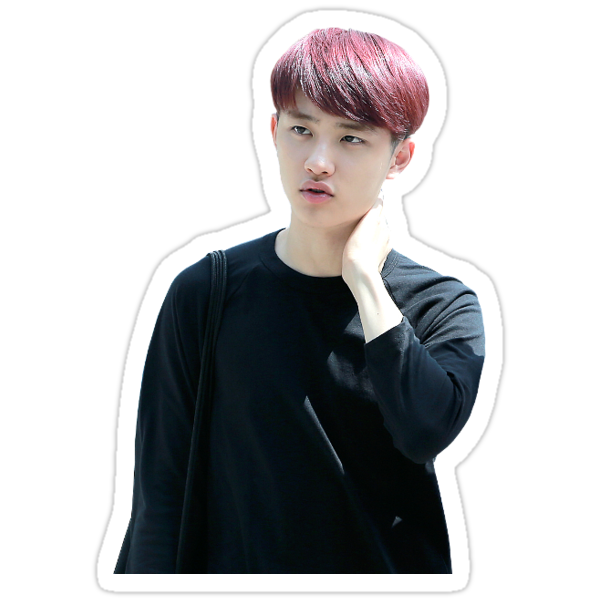 exo do kyungsoo stickers by swhitewat redbubble