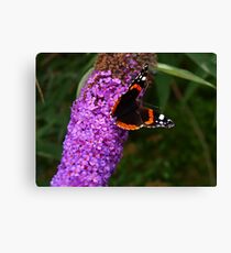 Schmetterling & Schmetterling Baum. Canvas Print