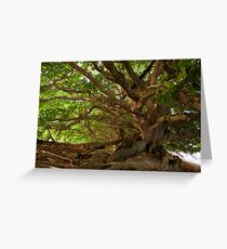 Branches And Roots Greeting Card