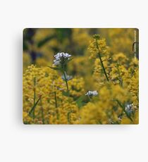 Flowers by Roadside Canvas Print