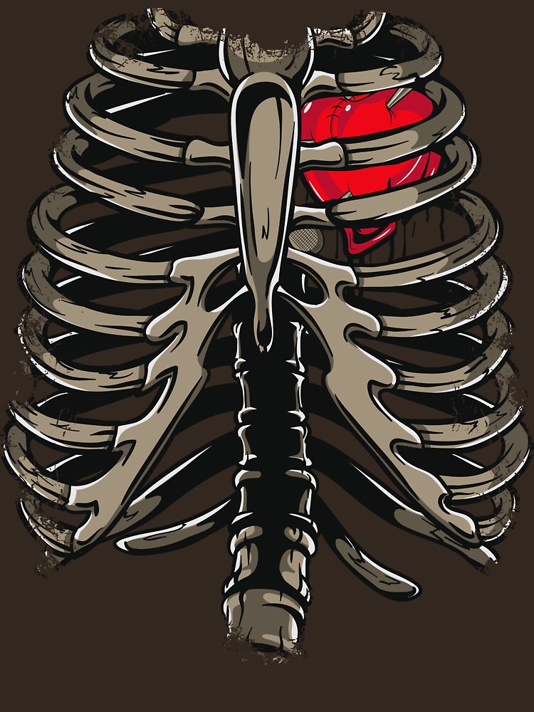 Which Organ Sits In The V Part Of The Ribs - Pelvis and ...
