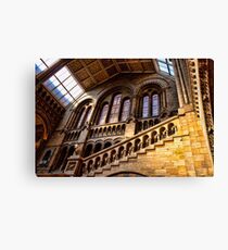 Natural History Canvas Print