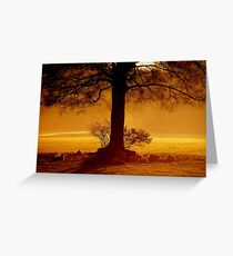"THE GOLDEN HOUR" Greeting Card