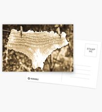 Frilly Knickers Postcards