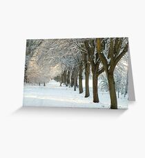 Winter Wonderland in Maynooth, Ireland. Greeting Card