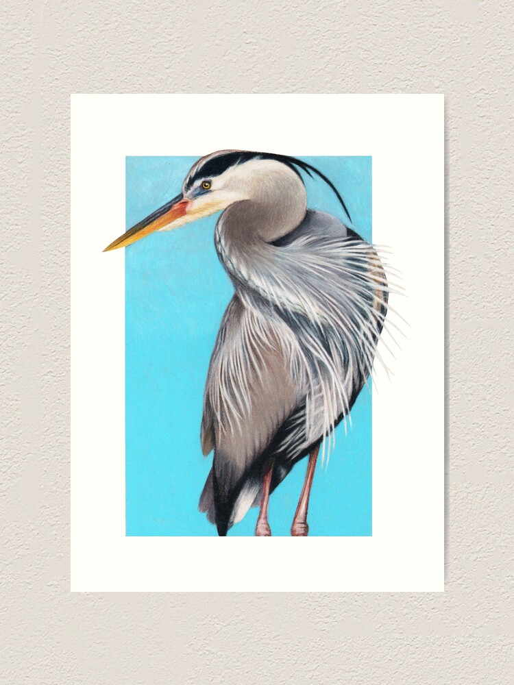 Alternate view of Great Blue Heron art by Wildlife Artist Sherrie Spencer Art Print