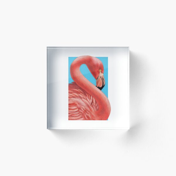 Flamingo art by Wildlife Artist Sherrie Spencer Acrylic Block