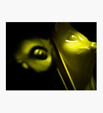 Wine Cats Abstract Photographic Print