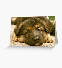 German Shepherd Puppy Greeting Card