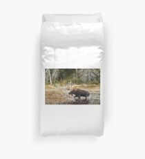 Bull moose - Algonquin Park Duvet Cover